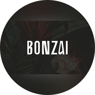 Bonzai London