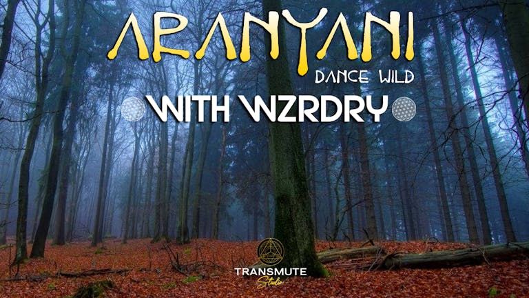 Aranyani Dance Wild with Wzrdry