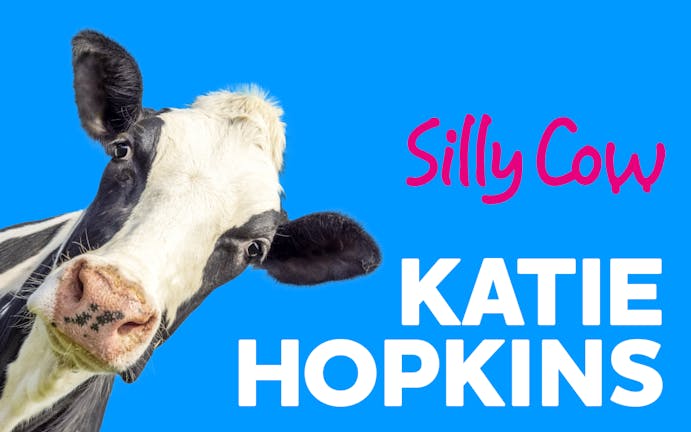 Katie Hopkins - Silly Cow