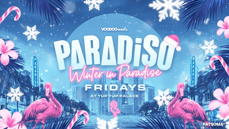 Paradiso | Winter in Paradise ❄️ | vol. 1