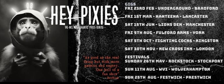 Hey Pixies - Doolitte Anniversary Show + Greatest Hits & More - Manchester