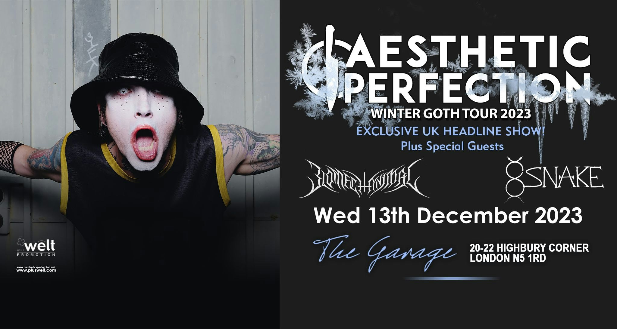 AESTHETIC PERFECTION // Winter Goth Tour// 13th Dec 2023