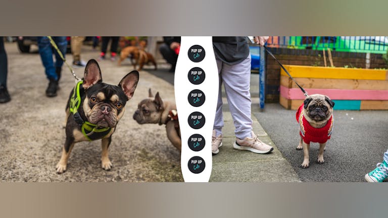 Pug & Frenchie Pup Up Cafe - Manchester