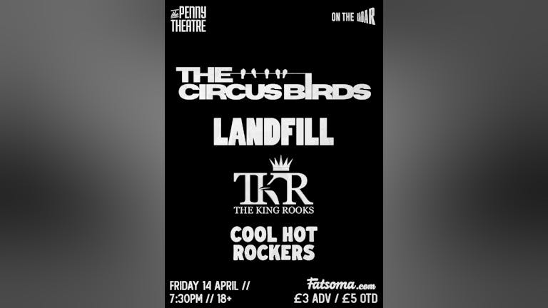 The Circus Birds + Landfill + The King Rooks + Cool Hot Rockers
