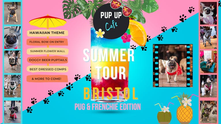 Pug/Frenchie Pup Up Cafe - Bristol | SUMMER TOUR! 🌞