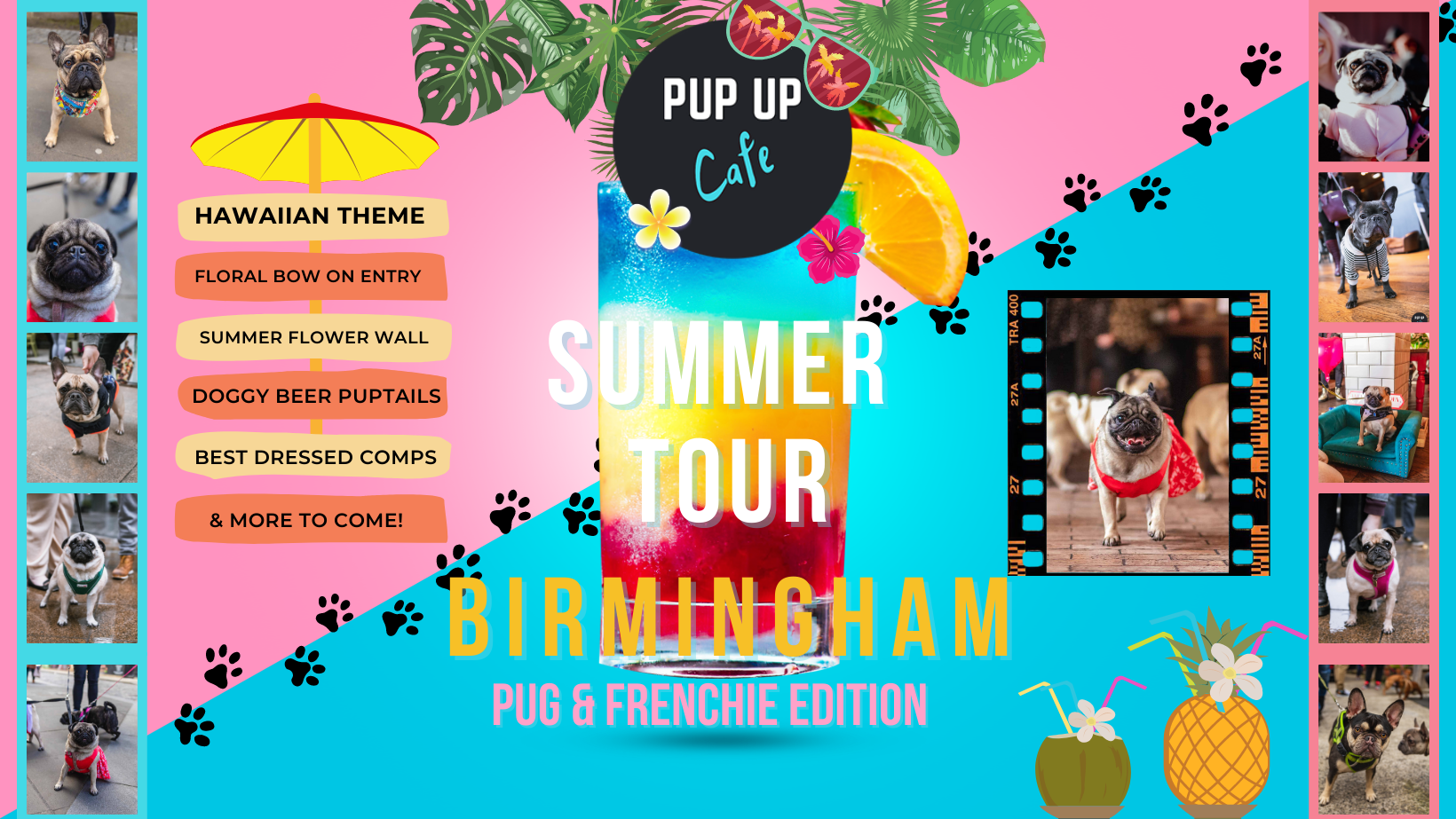 Pug/Frenchie Pup Up Cafe – Birmingham | SUMMER TOUR! 🌞