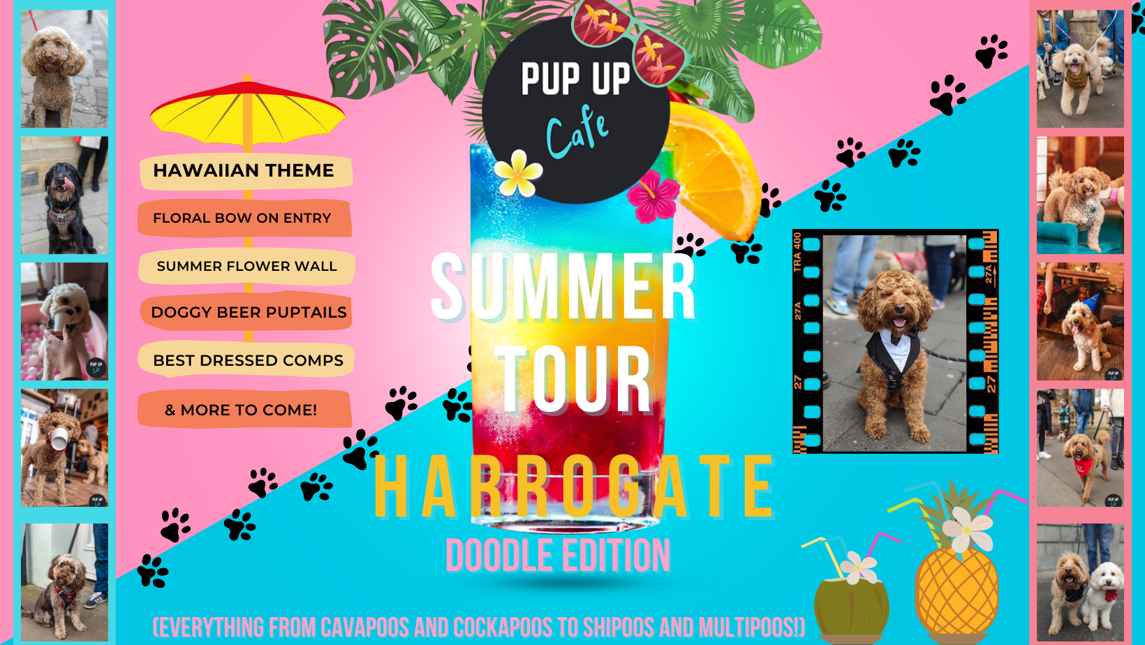 Doodle Pup Up Cafe – Harrogate | SUMMER TOUR! 🌞