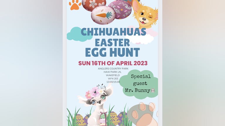 Chihuahuas Easter egg hunt 
