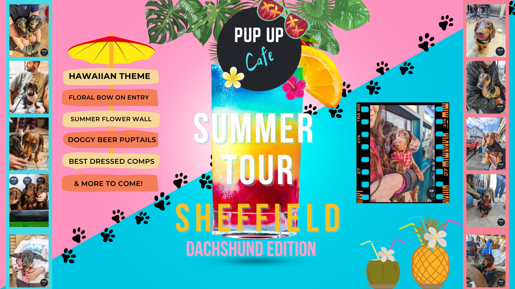 Dachshund Pup Up Cafe – Sheffield | SUMMER TOUR! 🌞