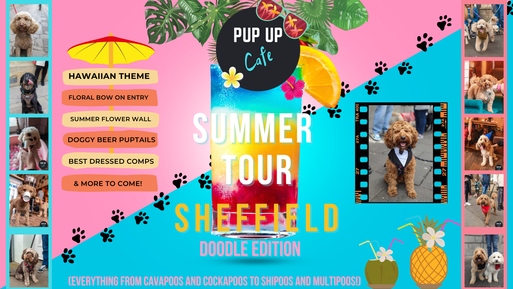 Doodle Pup Up Cafe – Sheffield | SUMMER TOUR! 🌞