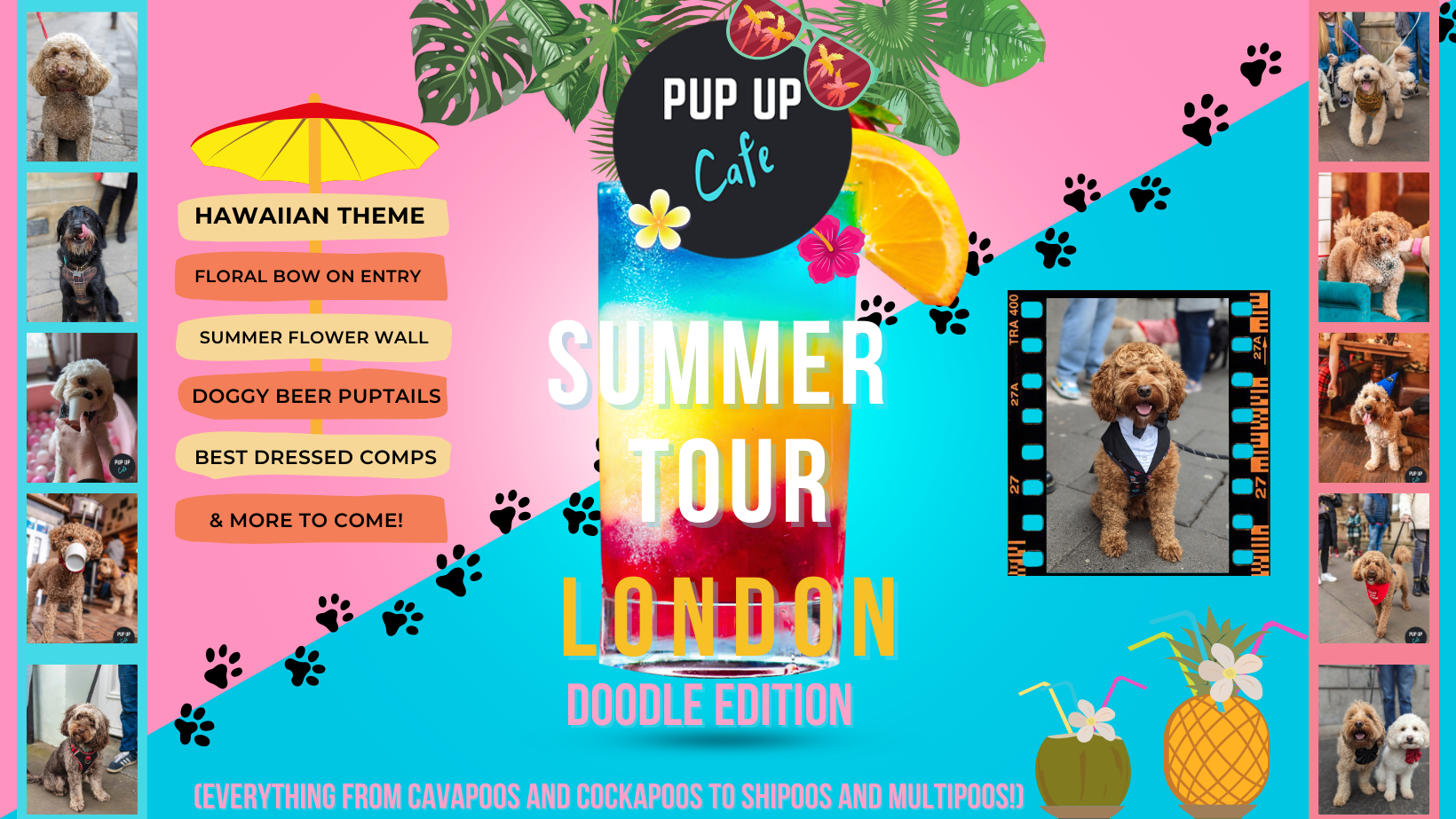 Doodle Pup Up Cafe – London | SUMMER TOUR! 🌞