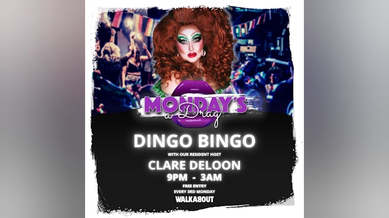 Monday's A Drag - Dingo Bingo