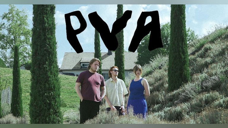 PVA  + Tlya X An 