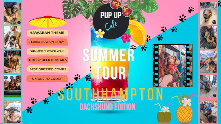 Dachshund Pup Up Cafe - Southampton | SUMMER TOUR! 🌞