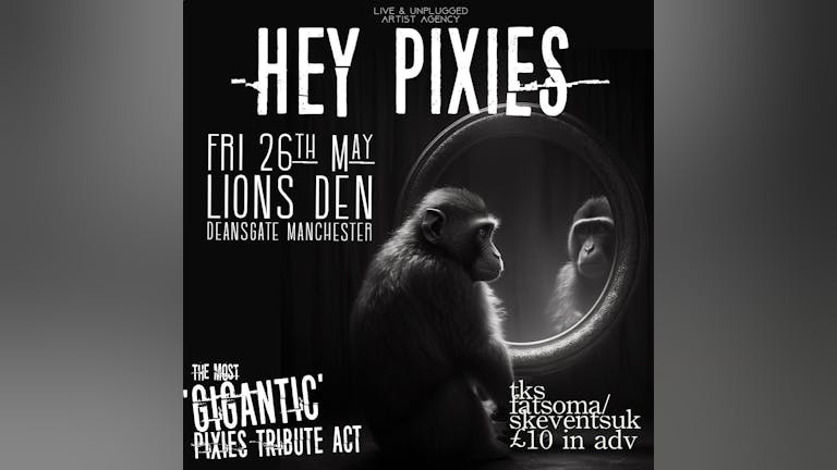 Hey Pixies (Pixies Tribute) Live At Lions Den, Manchester