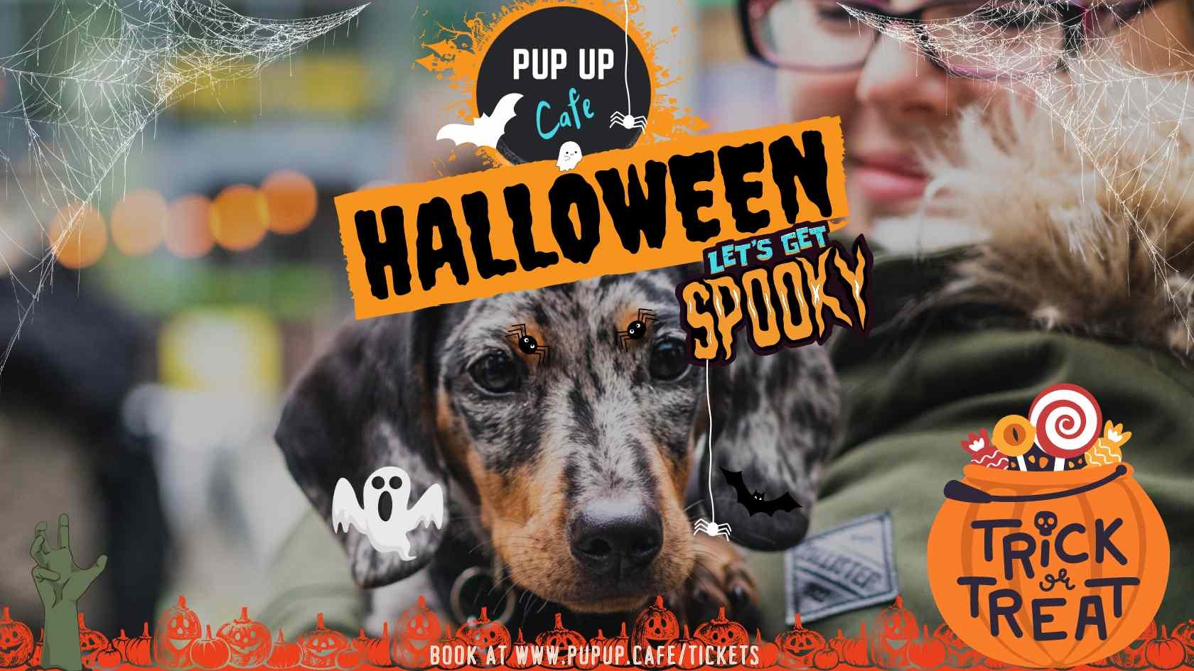Dachshund Pup Up Cafe – Newcastle | HALLOWEEN! 🎃