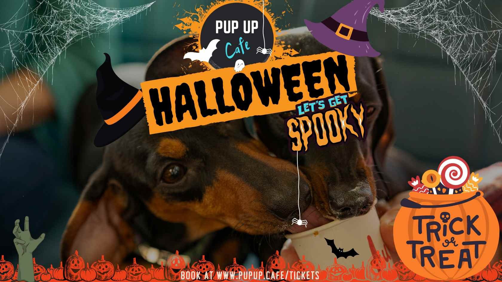 Dachshund Pup Up Cafe – London | HALLOWEEN! 🎃