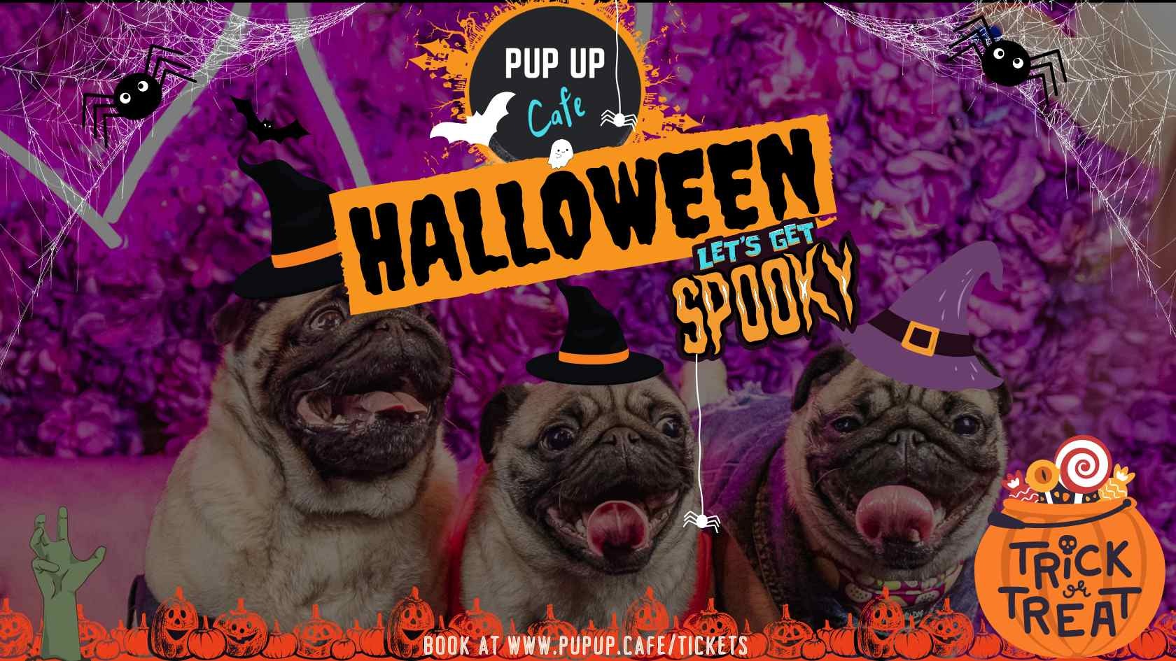 Pug Pup Up Cafe – Newcastle | HALLOWEEN! 🎃