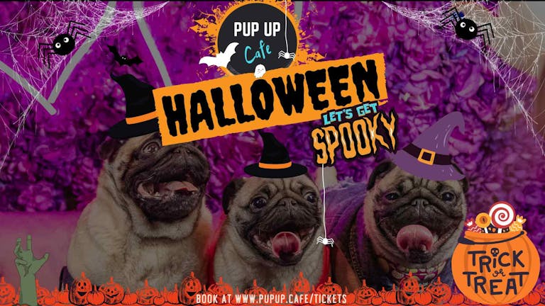 Pug Pup Up Cafe - Newcastle | HALLOWEEN! 🎃
