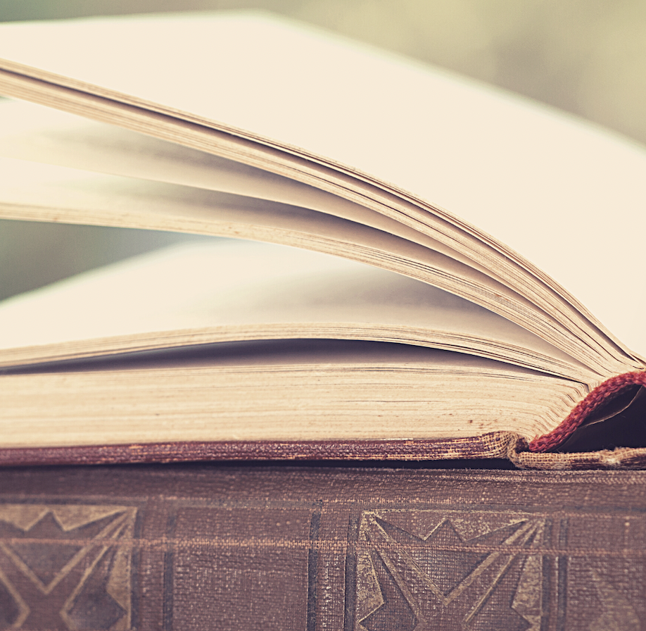 MYP Creative Link Book Club – 21.08.23